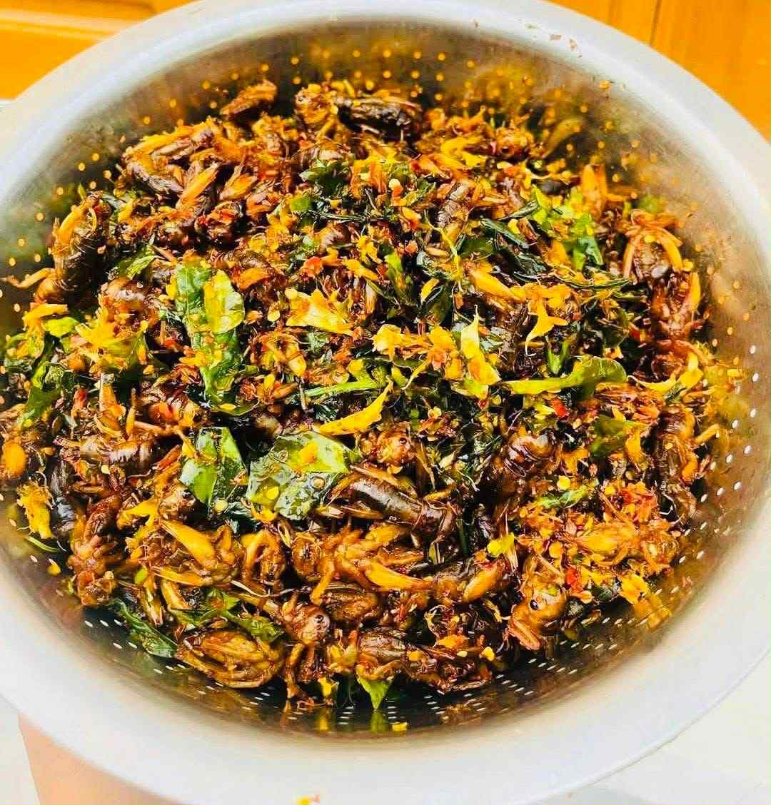 ဂုဏ်ဂုဏ် အမ သီးသန့်ဥအပြည့်ပါ ပုရစ်ကြော်အစပ် (အကောင် ၅၀)